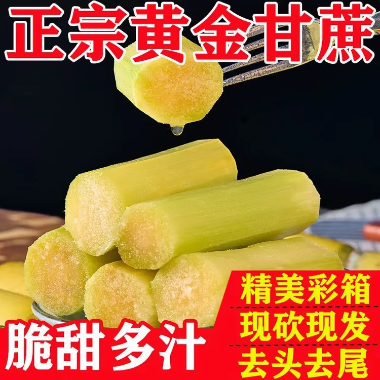 云南正宗黄金甘蔗新鲜当季水果甘蔗现砍脆甜多汁l.甘蔗新鲜脆甜