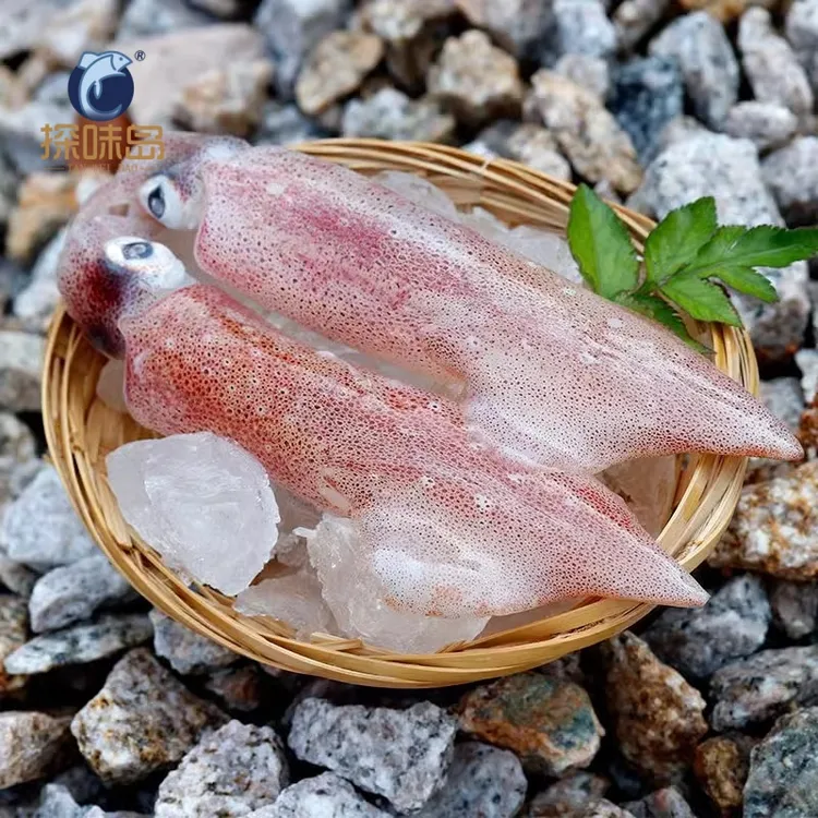 福建东山岛特产小管鱿鱼新鲜笔管鱿鱼海鲜火锅半成品食材餐厅商用