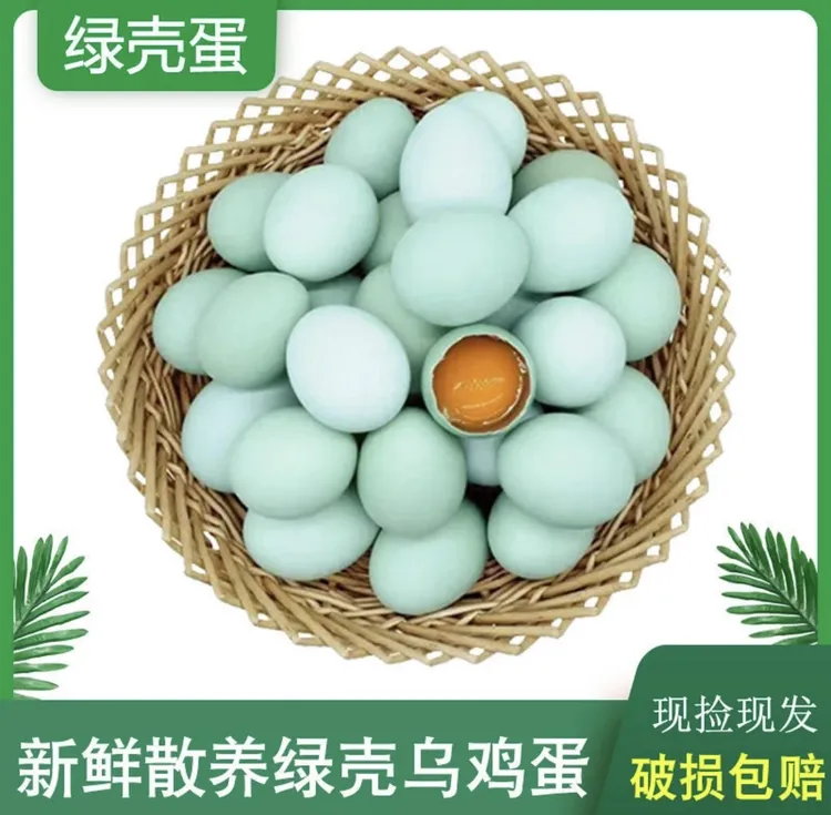 高山五谷杂粮喂养新鲜现捡精选黑鸡绿壳蛋营养丰富味美可口(包邮)