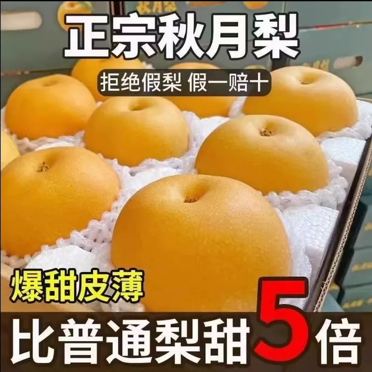 【中通包邮】山东秋月梨当季新鲜现摘现发，原产地直销4.5-5斤装