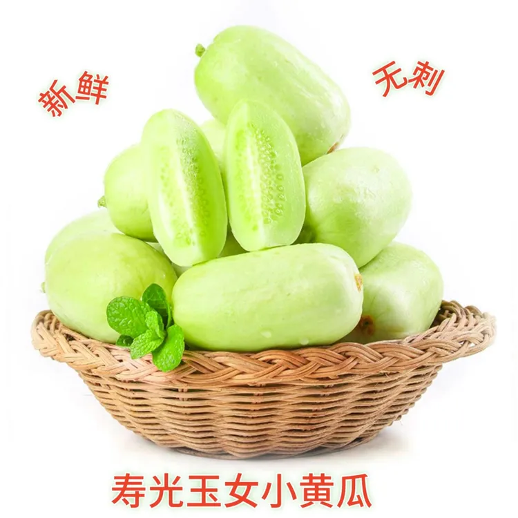 【顺丰/JD包邮】寿光玉女拇指黄瓜白玉黄瓜新鲜当天采摘3斤装