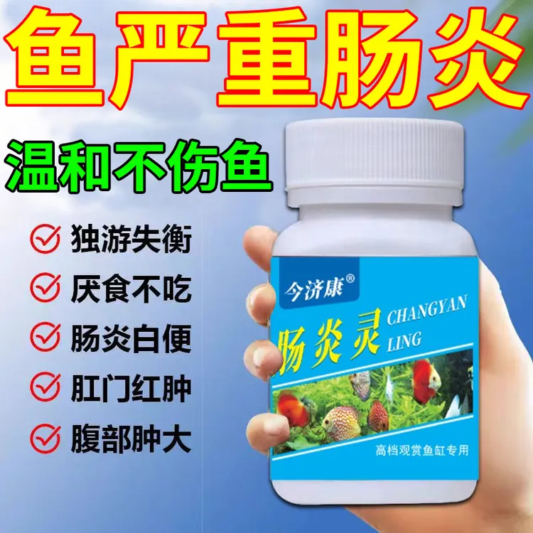 观赏鱼肠炎拉白便鱼独游失衡厌食腹胀消瘦鹦鹉鱼金鱼鱼用肠炎灵