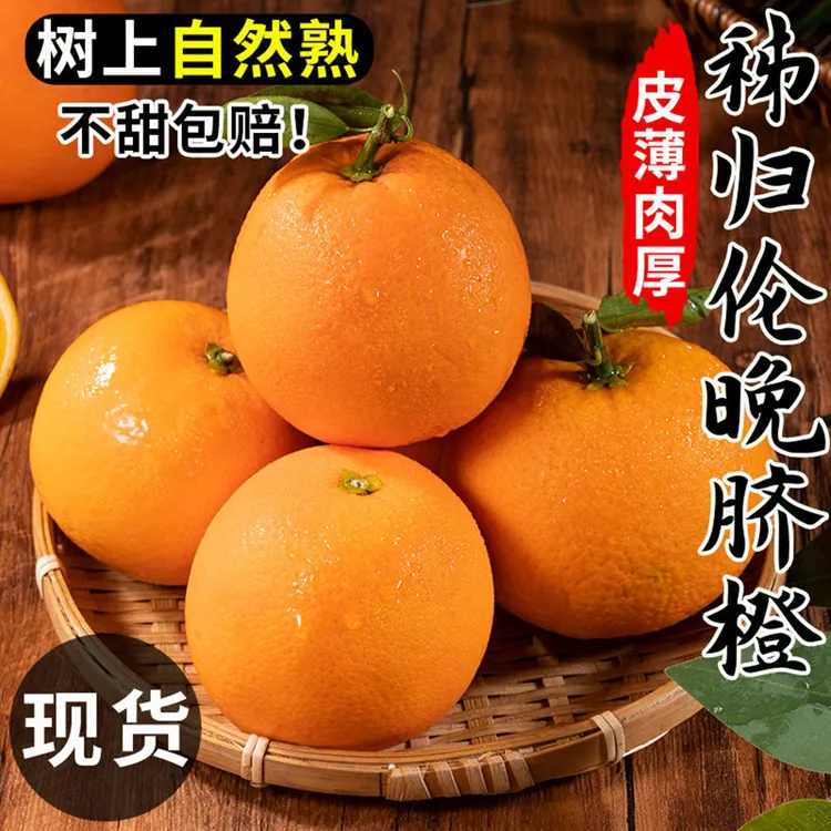 正宗伦晚脐橙5斤3斤装皮薄香甜多汁当季水果现摘速发