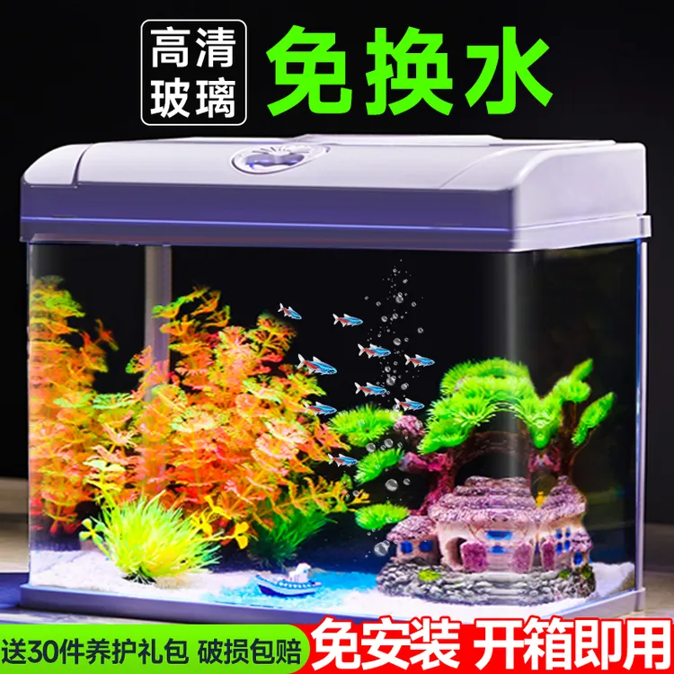懒人免换水新款金鱼缸客厅小型自循环生态玻璃家用桌面造景水族箱