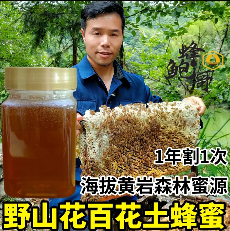 纯正野生天然农家森林百花土蜂蜜正宗原始生态无添加成熟蜜蜂鲍哥