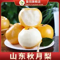 【盈羽】山东秋月梨彩箱4.5斤（5-9个）单果270g起