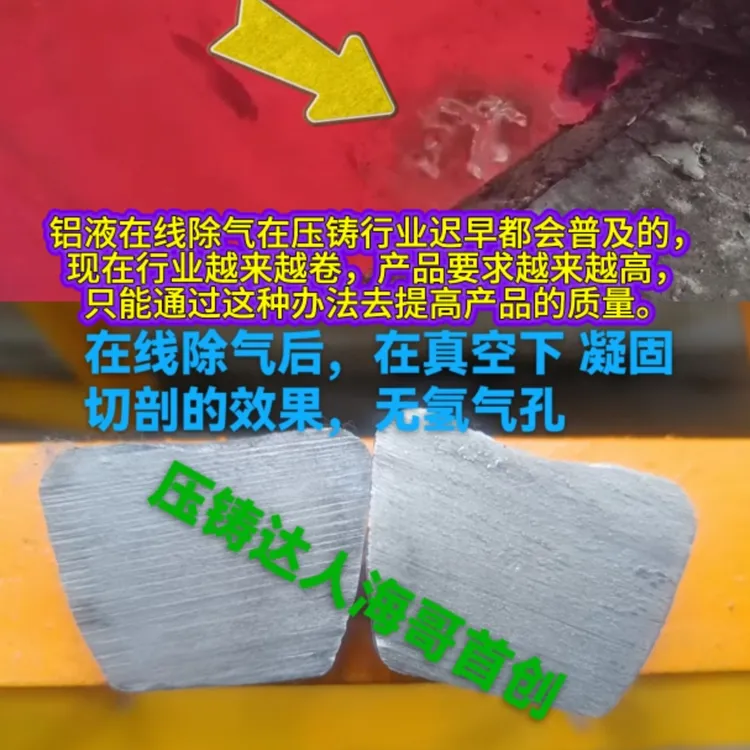 压铸铝液持续不间断在线除气套装