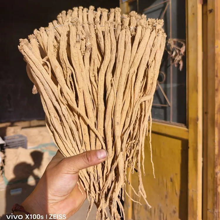 甘肃渭源老党参(无硫中条烽哥精选)整支装泡水炖汤滋补产地直销