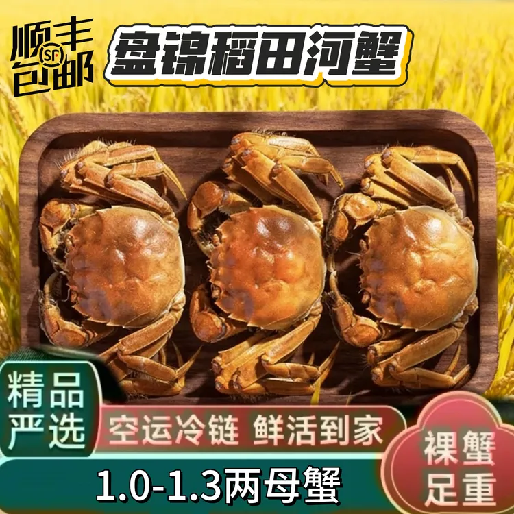 全母蟹【活蟹】盘锦河蟹稻田全母蟹1-1.3两2斤3斤顺丰包邮