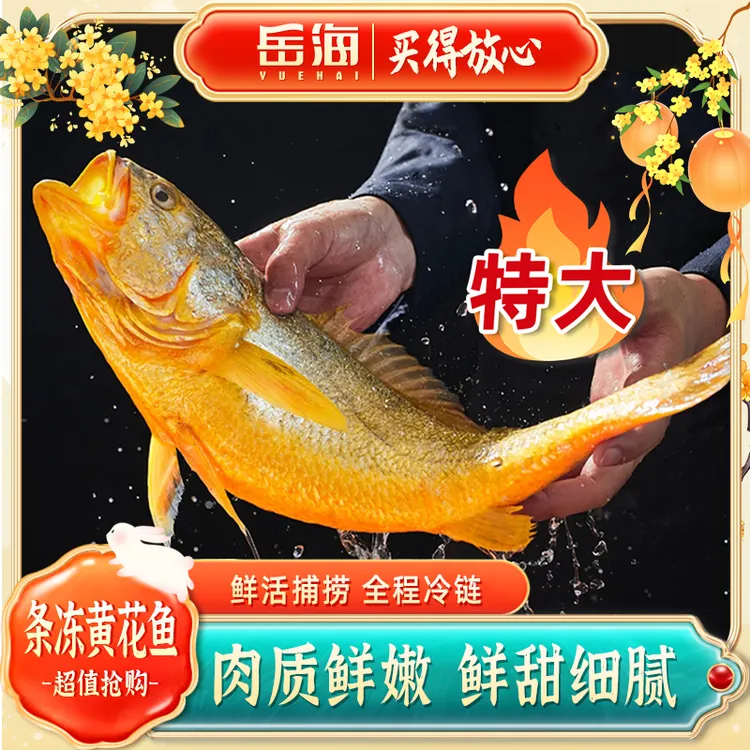 宁德深海黄花鱼大黄鱼原产地直发鲜活捕捞速冻无小杂刺宝宝辅食