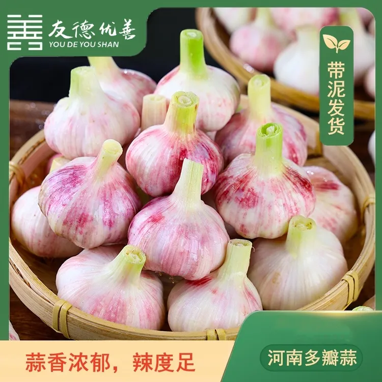 【友德优善】2025新蒜 河南多瓣蒜 3斤（20-28个）/ 5斤（36-50个）
