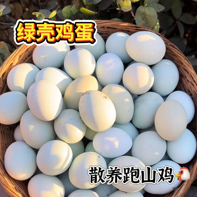 农家正宗散养绿壳鸡蛋新鲜现捡现发