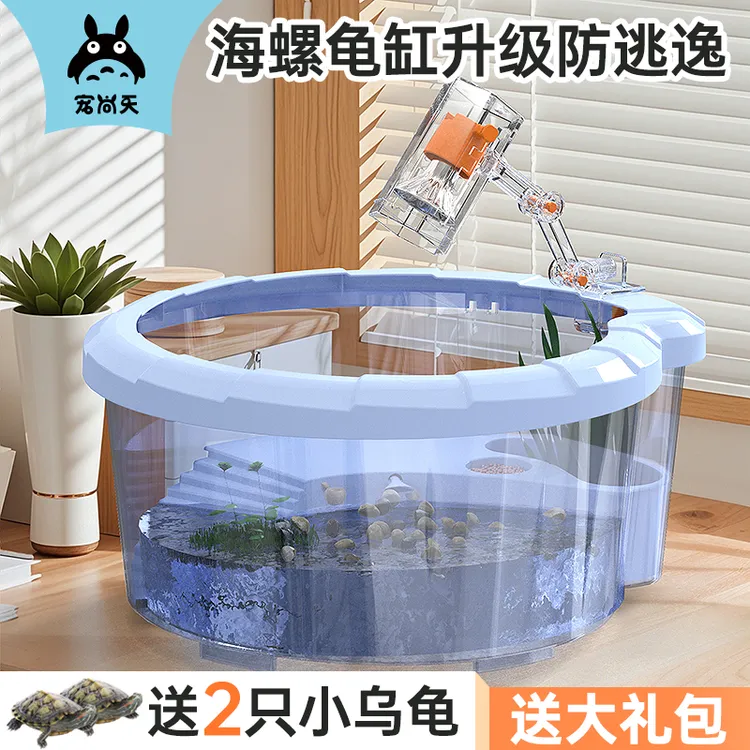 乌龟龟缸礼盒装小龟饲养套装套餐桌面宿舍造景儿童节生日礼物学生