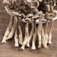 [阿张代卖]干货鹿茸菇炒肉煲汤炒菜
