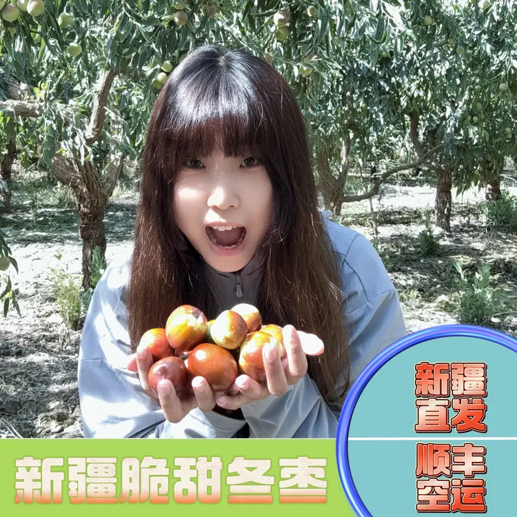 【顺丰空运包邮】新疆正宗牛奶冬枣脆甜多汁新鲜现摘现发核小