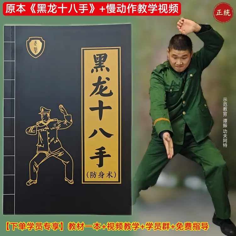 系统《黑龙十八手》+50节视频课+学员群+长期指导（送教材一本）