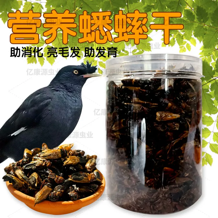 蟋蟀干宠物高蛋白零食鸟类鸦类饲料