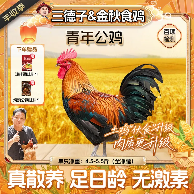 三德子【1只青年公鸡】山地散养200天吃肉炖汤生态鸡跑山鸡新鲜美味