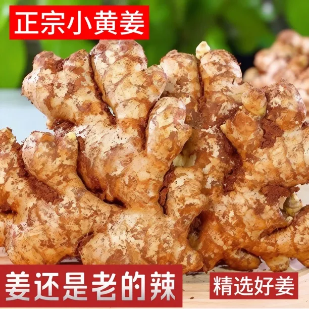 【出口级精选】云南小黄姜新鲜调味小黄姜生姜老姜农家姜新鲜生姜