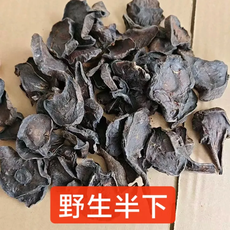 四川非种植半下天然生长非种植