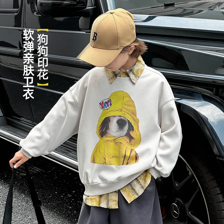 男童卫衣春秋款2025新款套头卡通休闲上衣中大童宽松长袖WYW3000