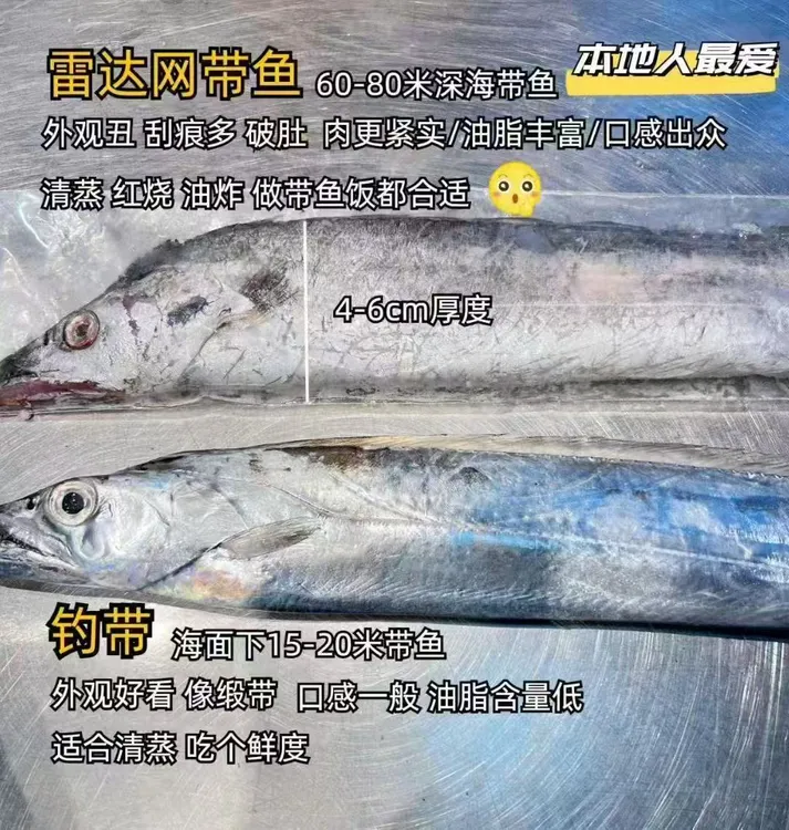 东海雷达网小眼睛油带鱼 （会有破肚介意勿拍）整条发货新鲜