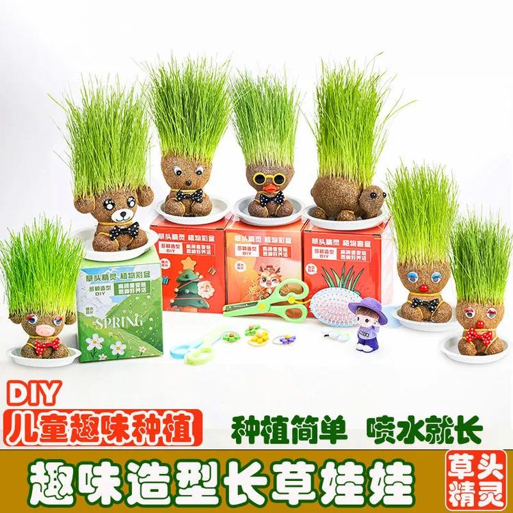 草头长草娃娃头上长草儿童种植小盆栽种草绿植观察植物桌面幼儿园