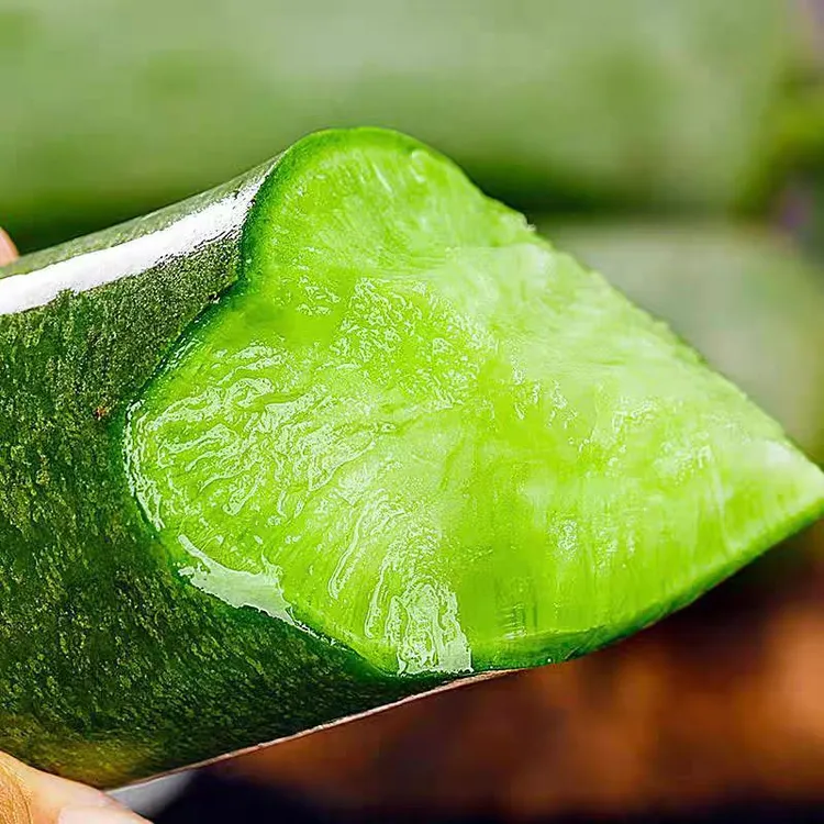 天星2号水果萝卜潍坊原产地去皮生吃清甜酥脆多汁微辣现拔现发