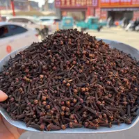 公丁香 广西核心产区 正品新货