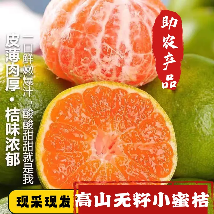 现采现发 湖北宜昌应季高山无籽手剥小蜜桔橘子新鲜多汁水果5/9斤