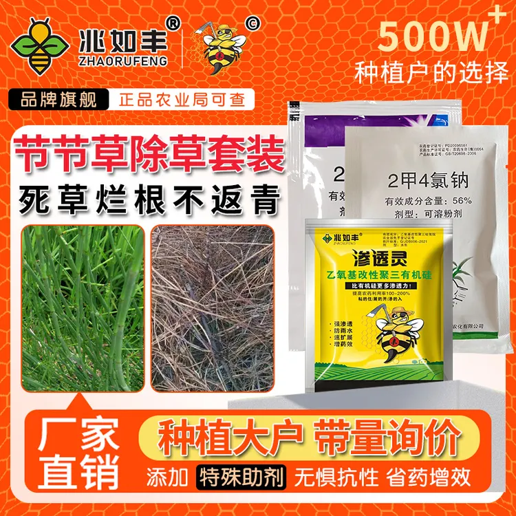 兆如丰节节草专用强效滁草笔管草克星强力去除套装除草剂