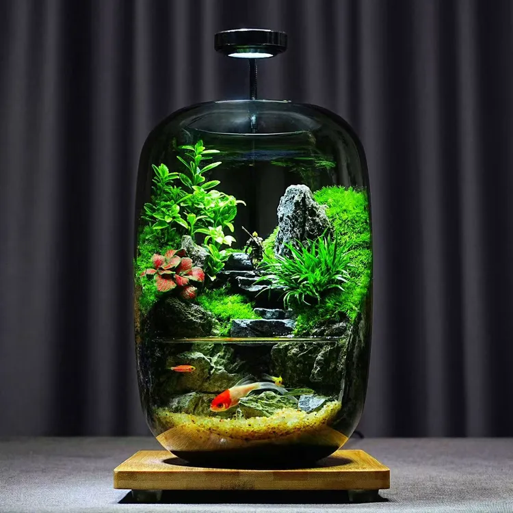 青苔壹品【云海间】山水景观创意绿植养鱼桌面微景观成品办公室摆件