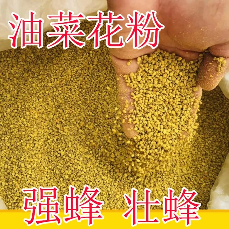 蜜蜂花粉新鲜油菜花粉原颗粒喂蜂专用中蜂度夏越冬口粮春繁饲料