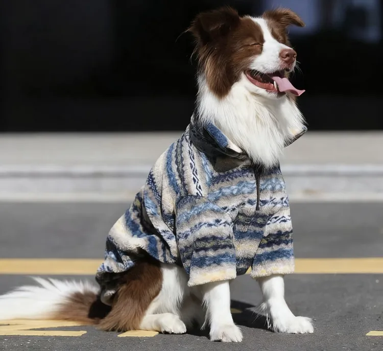 大型犬边牧金毛羊羔绒外套拉布拉多秋冬保暖拉链宠物冬装狗狗衣服