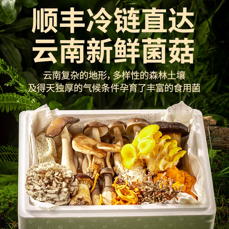 【顺丰冷链保鲜到家】七彩新鲜菌菇 10种新鲜菌 2斤装 超鲜菌香汤包