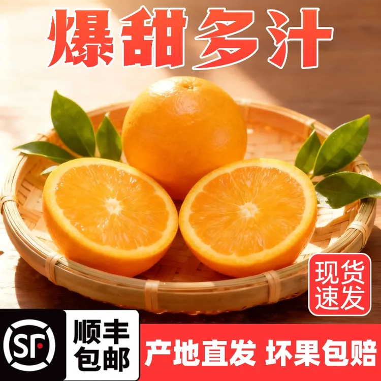 正宗富川脐橙【顺丰包邮】果园直发现采摘 鲜甜多汁 坏果包赔 