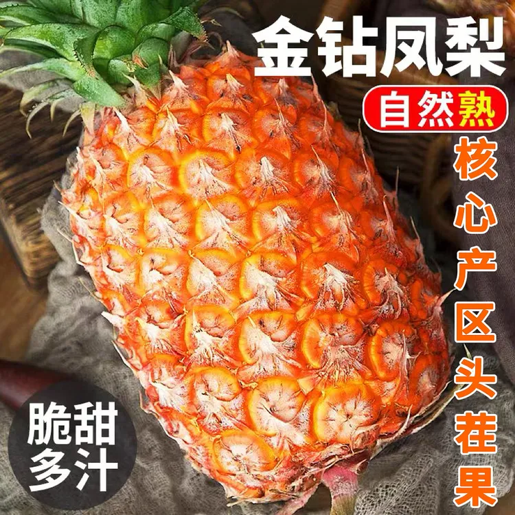 海南正宗金钻凤梨多汁鲜甜新鲜孕妇水果应季菠萝手撕凤梨