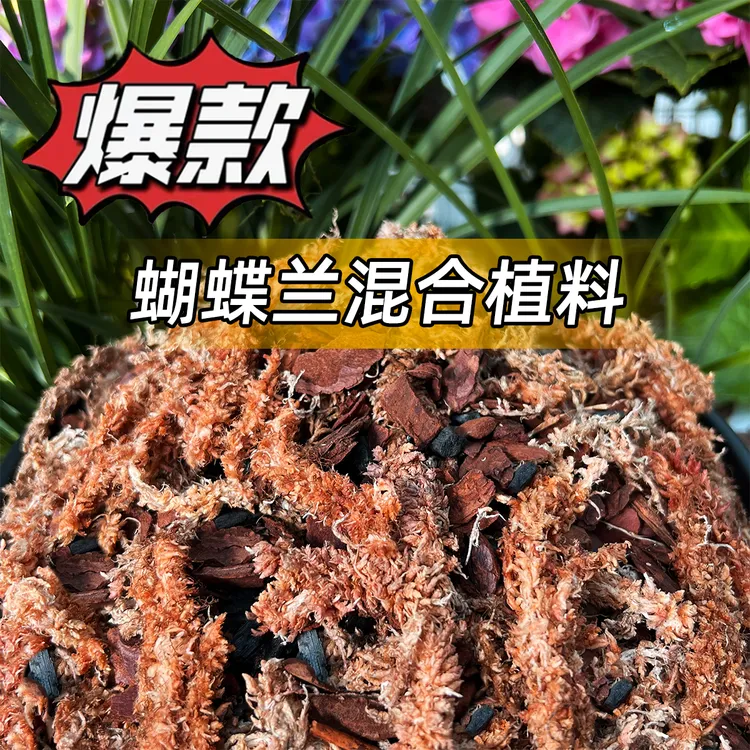 蝴蝶兰专用混合植料兰花种植进口毛毛虫水苔颗粒松树皮兰科营养土