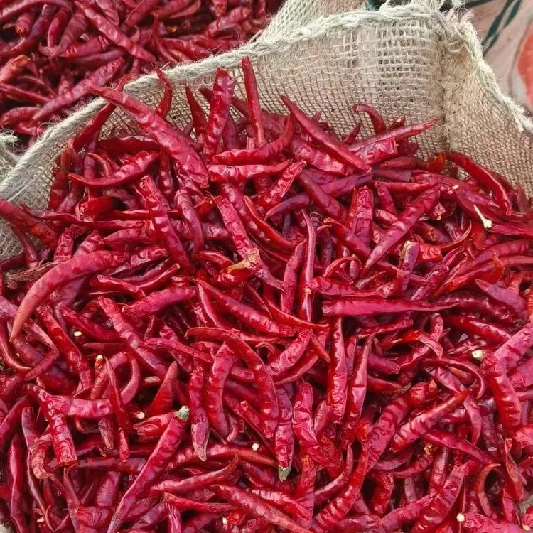 特辣魔鬼椒干辣椒超辣调料自然晒干农家红辣椒