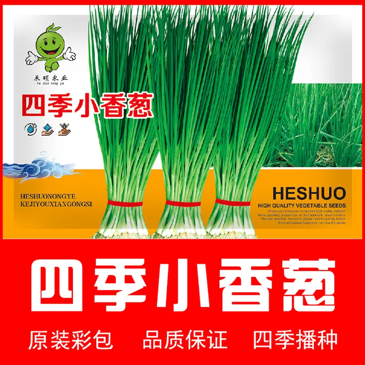 蔬菜冬种秋冬四季青菜秋农家种子南方冬季菜籽菜种大全种籽莱籽种