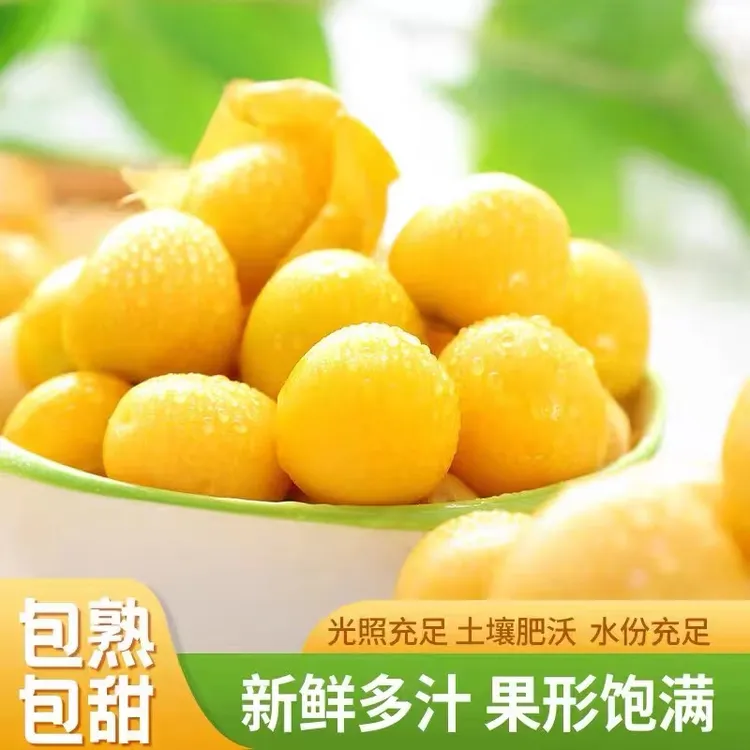 【产地直发】新鲜果肉饱满灯笼果爆汁香甜
