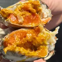 【母蟹2.6-2.7两】  顺丰发货 鲜活大闸蟹全母8只 死蟹、无黄包赔