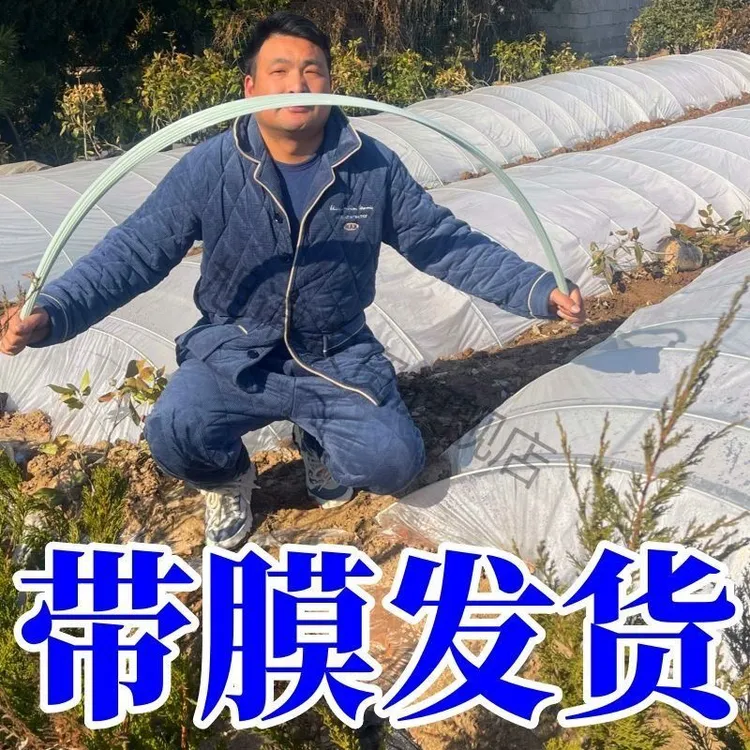 【配大棚膜】拱棚支架玻璃纤维杆温室大棚支架花架植物拱形支架