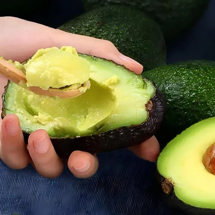 【坏果包赔】秘鲁进口牛油果当季新鲜水果鳄梨100-220克