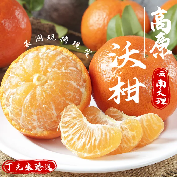 云南高原沃柑产地直发果园现摘薄皮柑橘应季水果包邮自然成熟