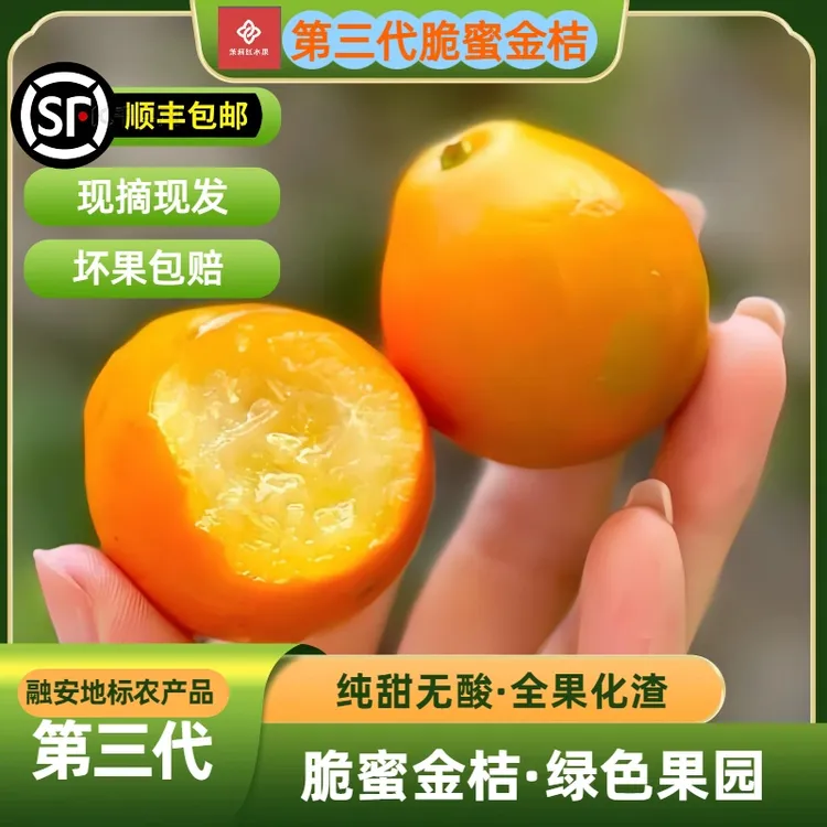 融安脆蜜金桔三代爆甜爆汁整果化渣无渣无籽当季水果现摘顺丰现发
