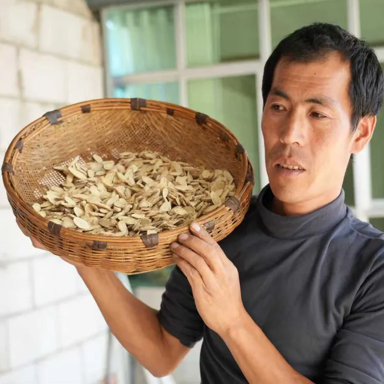 甘肃岷县黄芪片无硫可泡水炖汤中药材
