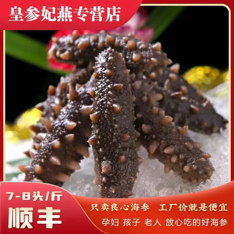 即食海参大连正宗辽参源头工厂发货化冻食用营养滋补