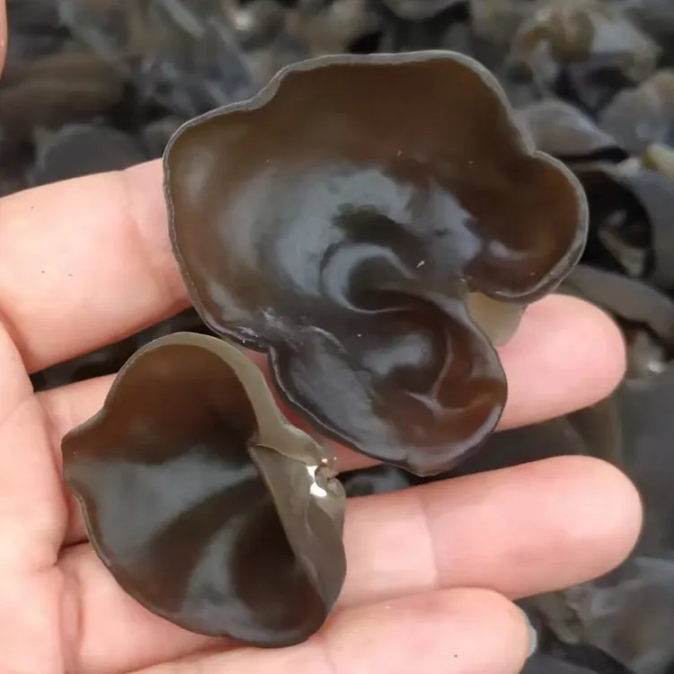 东北长白山黑木耳正宗，早秋木耳，无根丶无沙丶无杂质干货