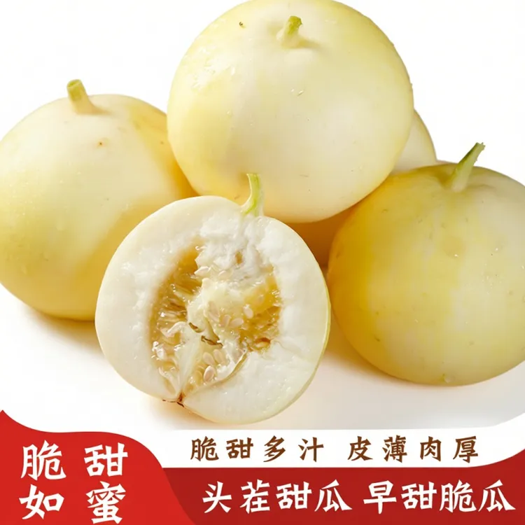 【顺丰上门】现摘现发山东小蜜蜂甜瓜脆甜多汁新鲜直达